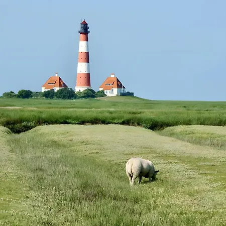 Dargies * Cuxhaven